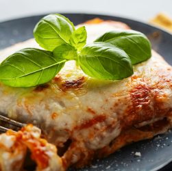 Tasty appetizing classic lasagna on plate